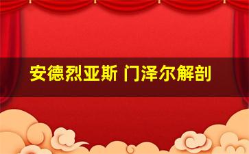 安德烈亚斯 门泽尔解剖